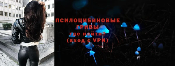 дурь Лагань