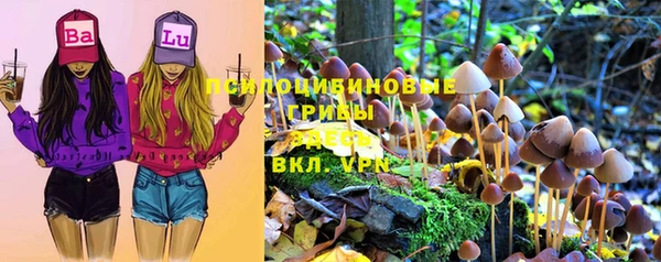 герыч Лиски
