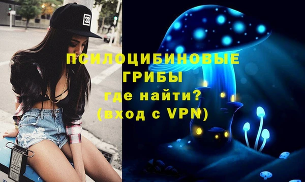 mdpv Липки