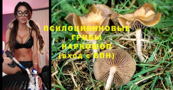 герыч Лиски