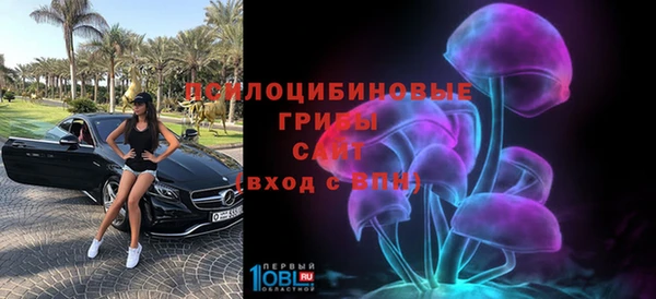 экстази Болотное
