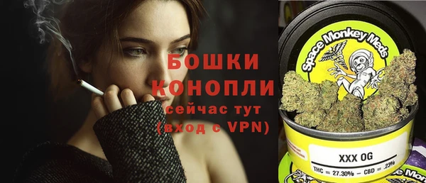 мяу мяу мука Беслан