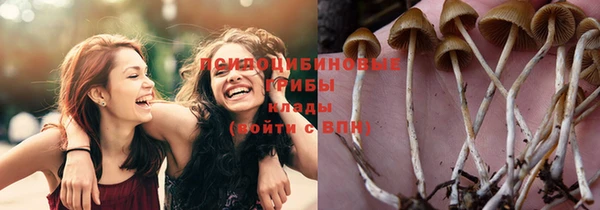 спиды Ладушкин