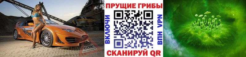 ссылка на мегу ссылки  Пересвет  Псилоцибиновые грибы Cubensis  где найти  